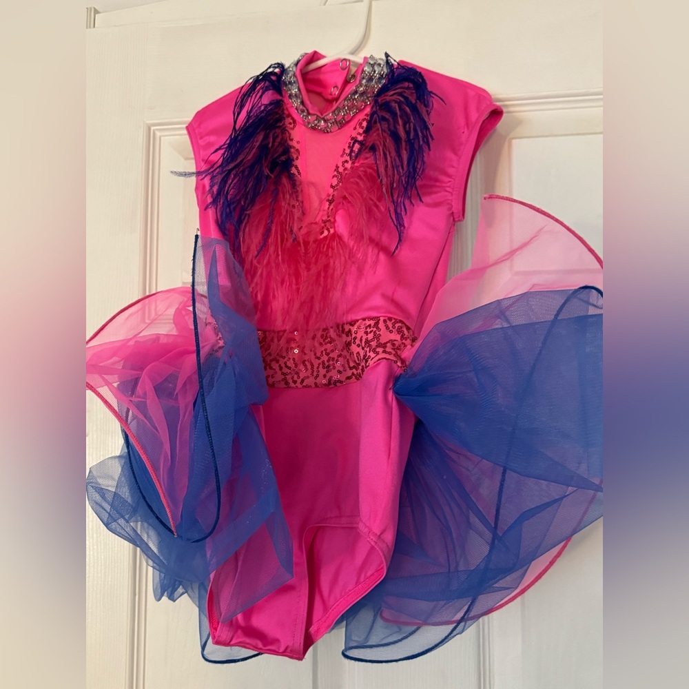 Weissman Pink and Blue Dance Costume